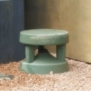 Meet your Posher, Sonya